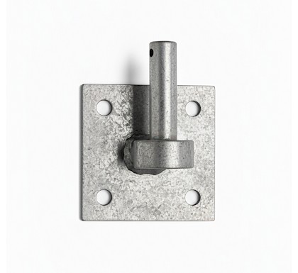 Plaatduim Gegalvaniseerd